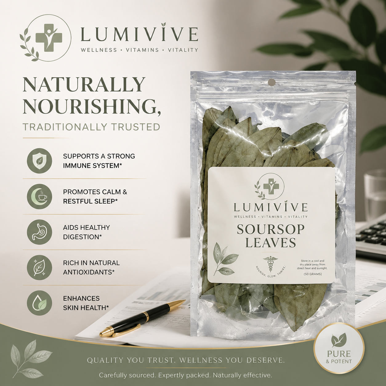 Soursop Leaves (50g)