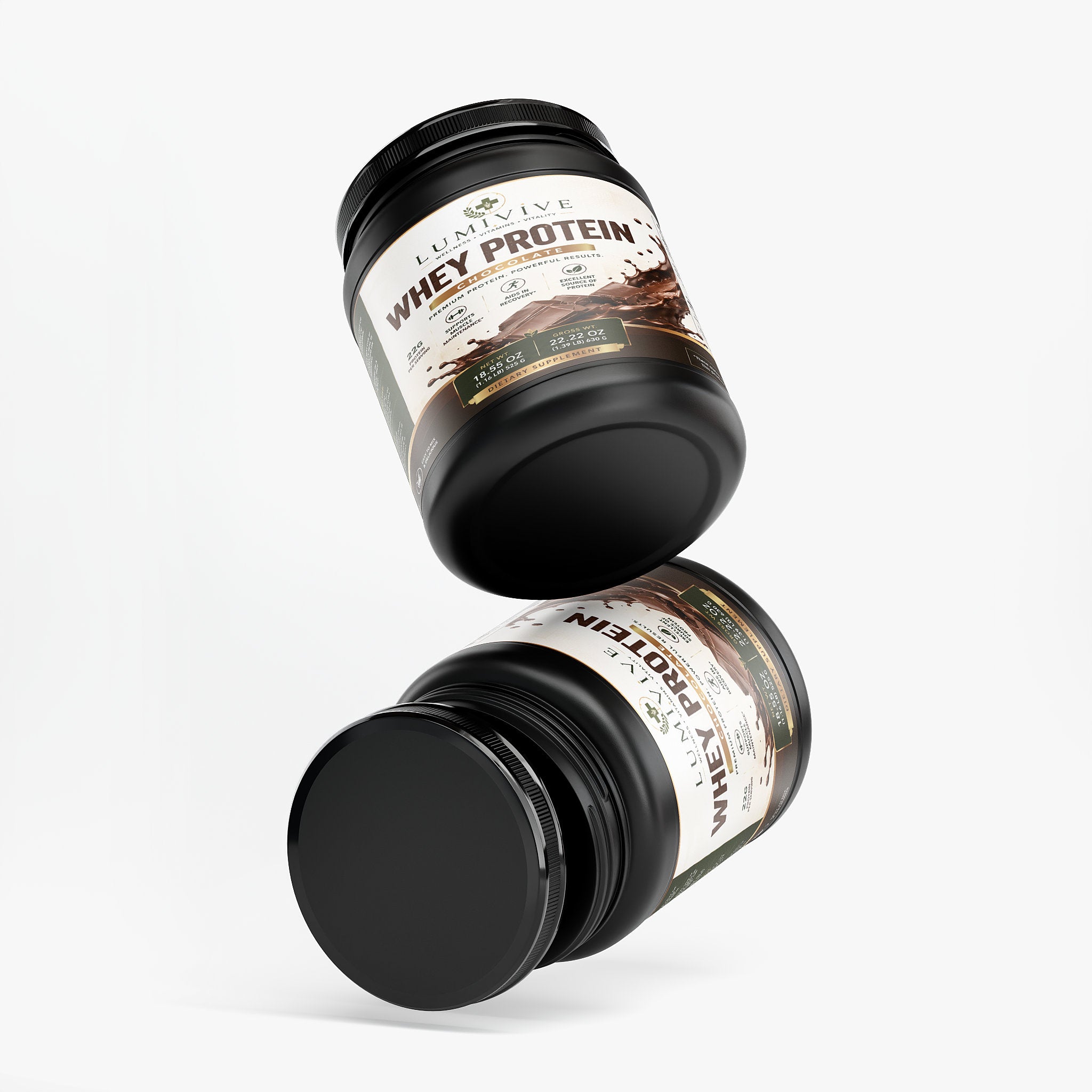 Performance Whey Protein Blend (Chocolate)